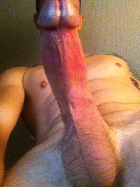 Image #2166